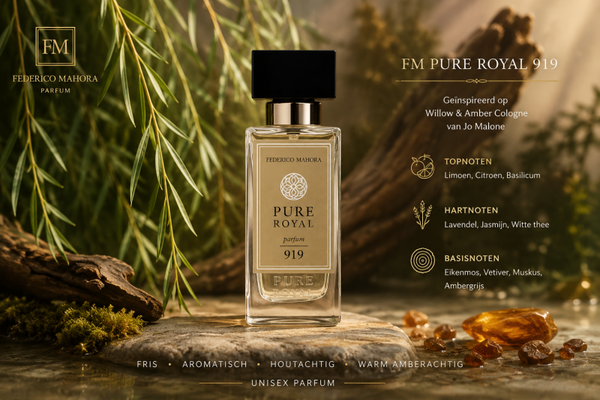 FM parfum 919 gëinspireerd op Willow&Amber Cologne 50ml