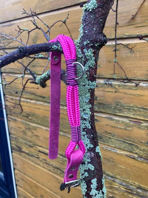 halsband
