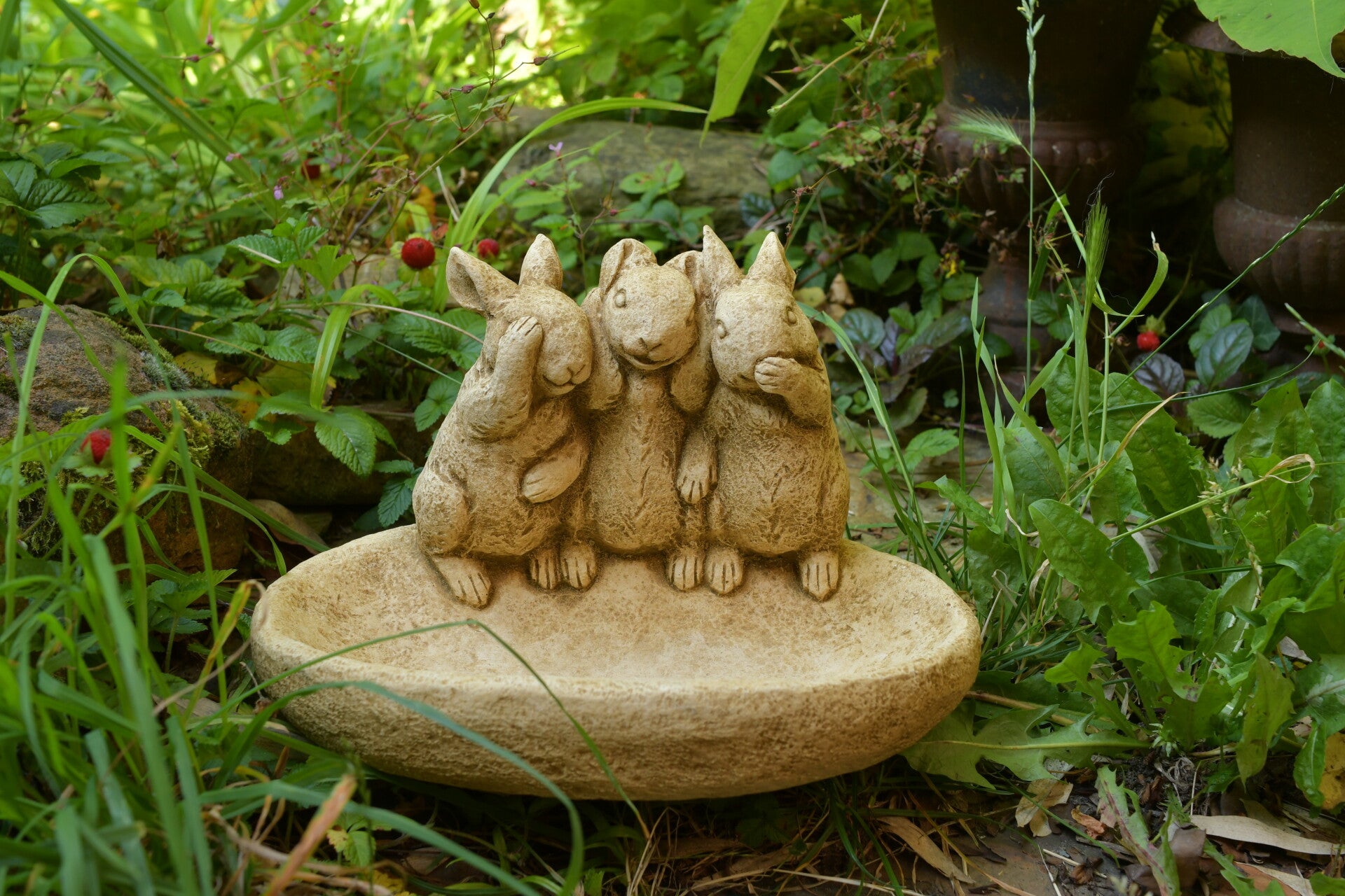 Rhosgobel Rabbits-bowl