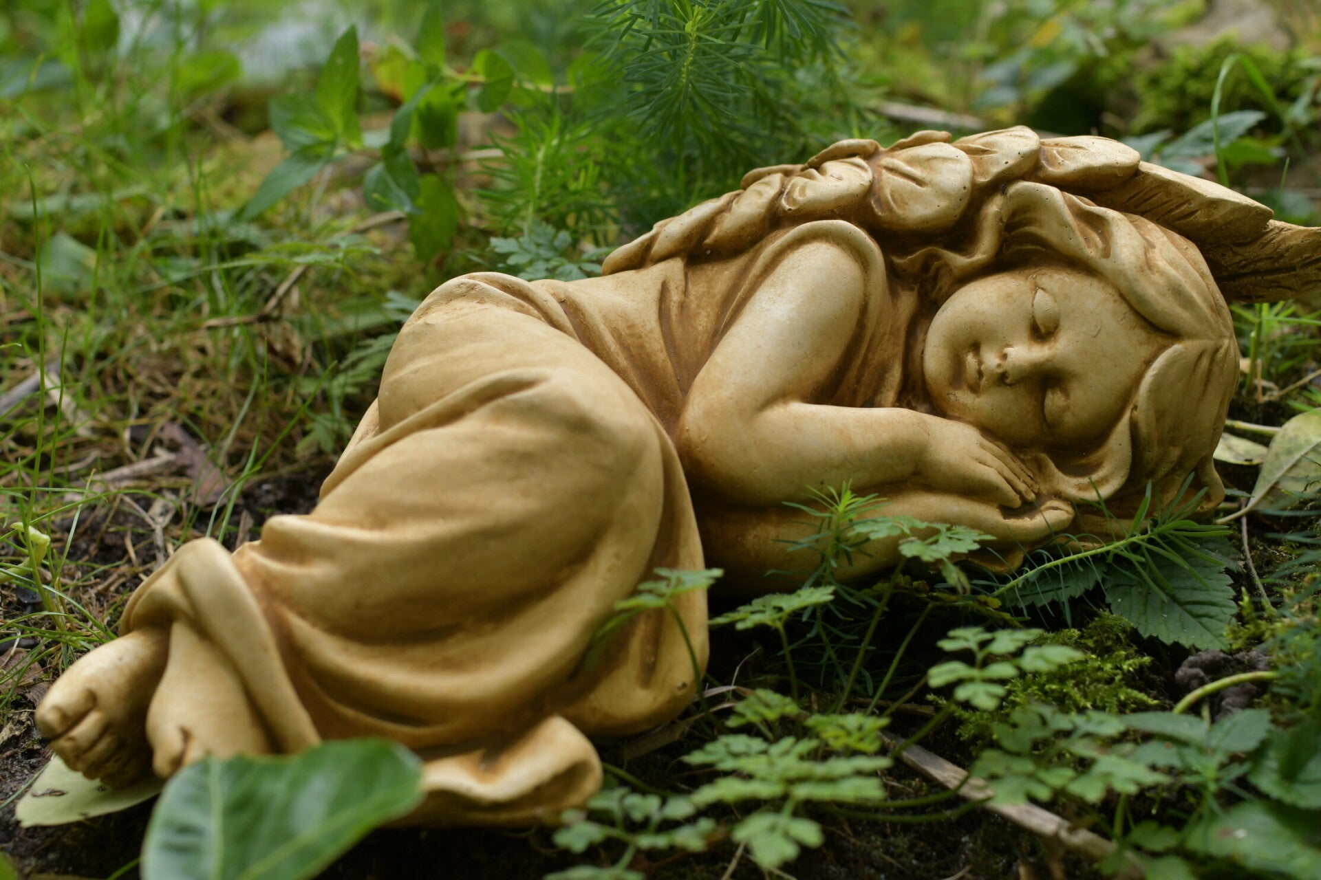 Layla, sleeping angel