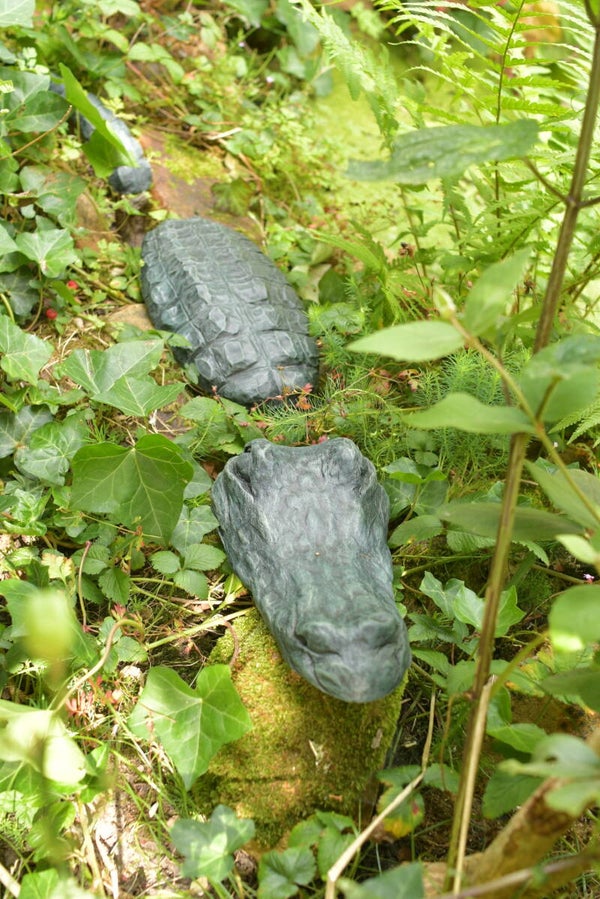 Dexter de alligator