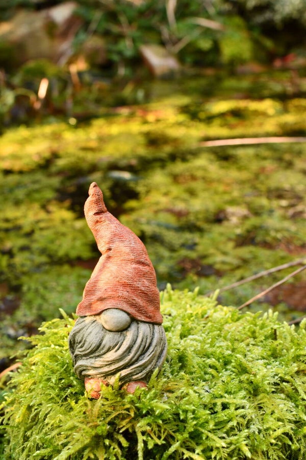 Tomte Tummetot