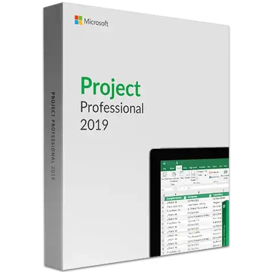 MICROSOFT PROJECT PROFESSIONAL 2019