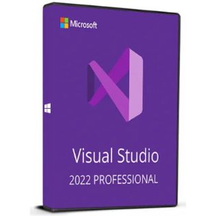 VISUAL STUDIO PROFESSIONAL  2022