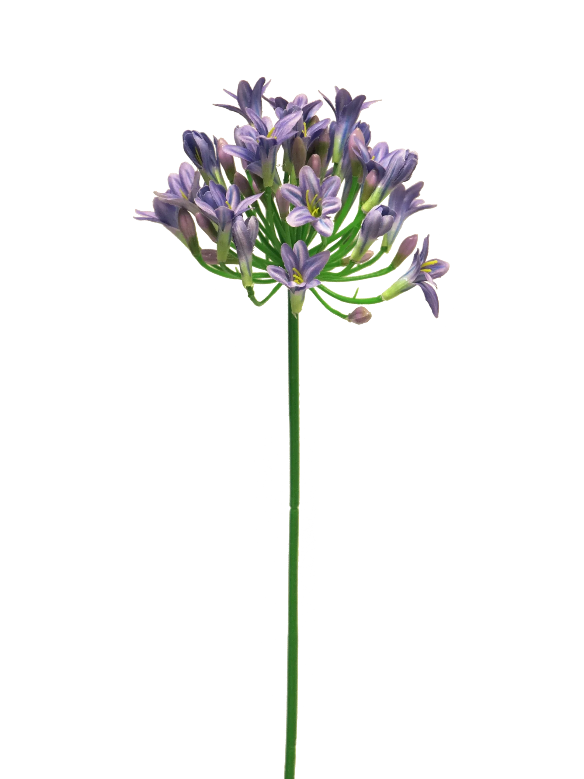 Zijde Bloem Agapanthus Mauve Paars 75cm