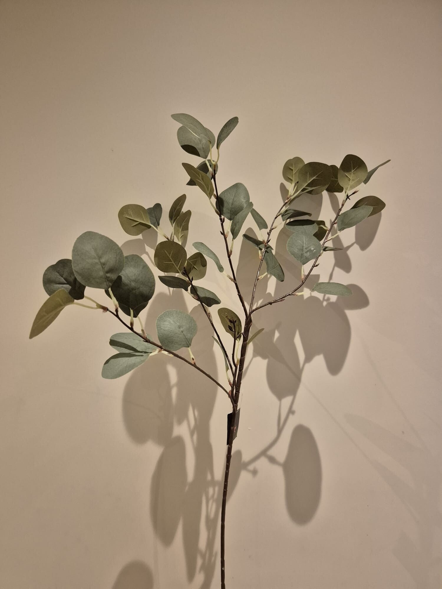 Zijde Bloem Eucalyptus Groen 83cm