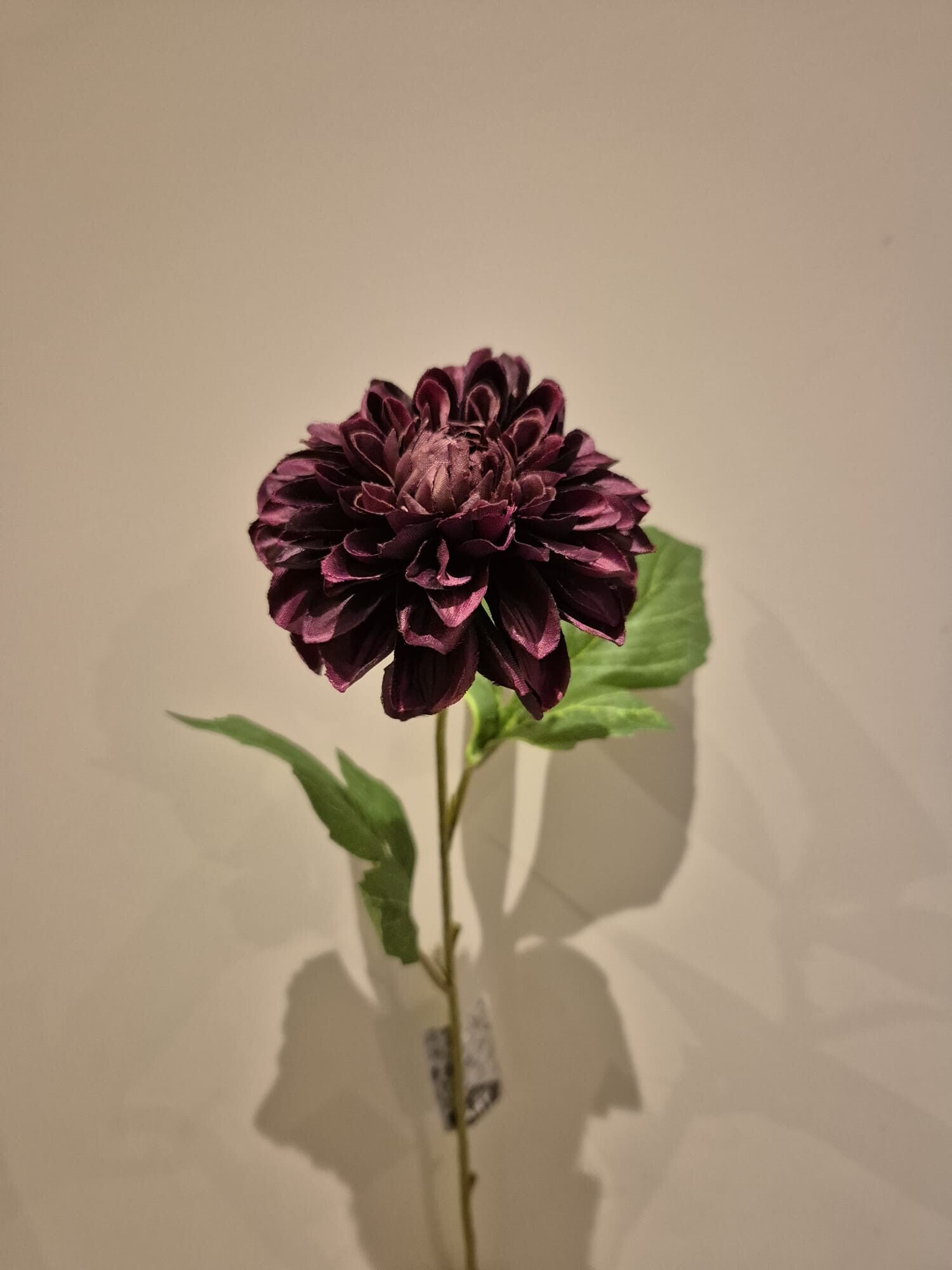 Zijde Bloem Chrysant Donkerpaars 48cm