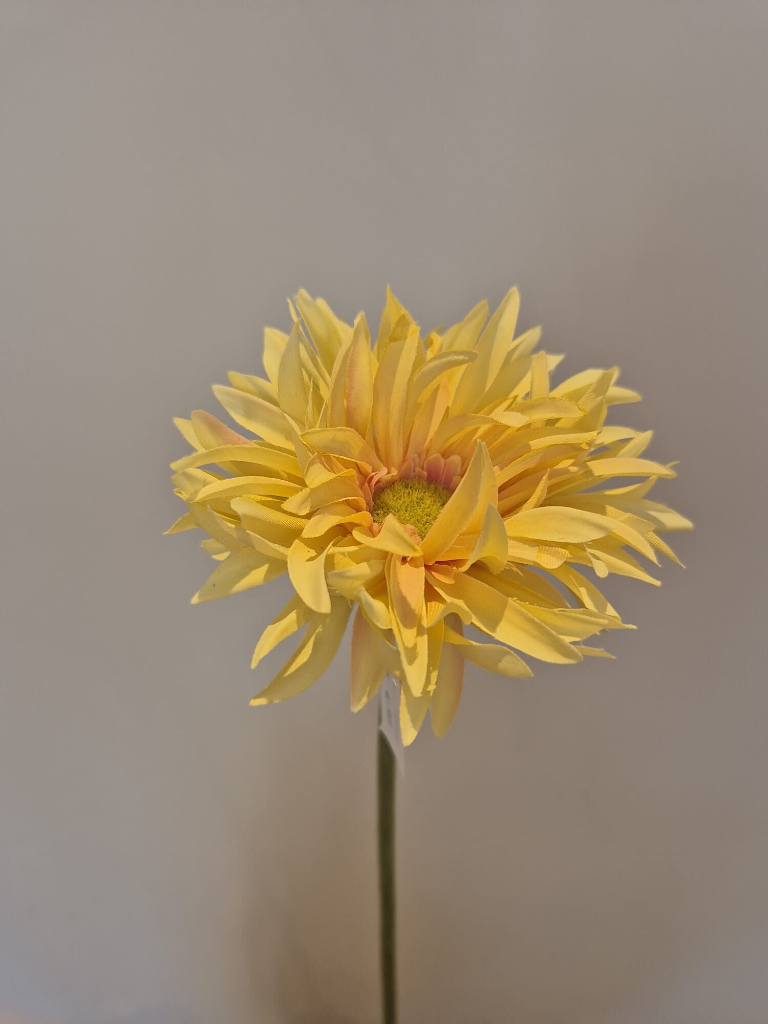 Zijde Bloem Gerbera Geel 57cm