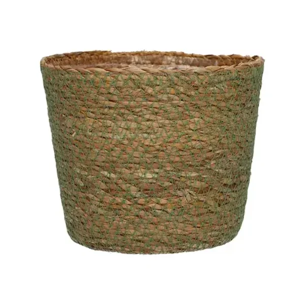 Mand Roan Natural Groen