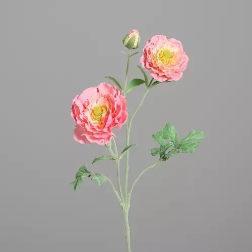 Zijde Bloem Ranonkel Roze 70cm