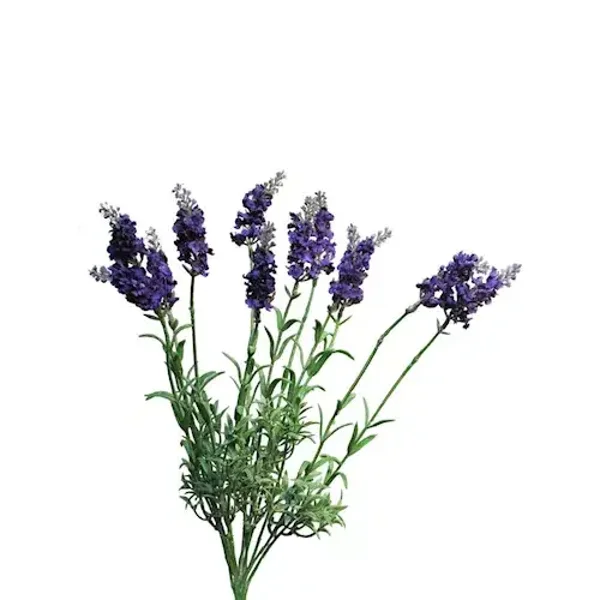 Zijde Bloem Lavendel Donkerpaars 40cm