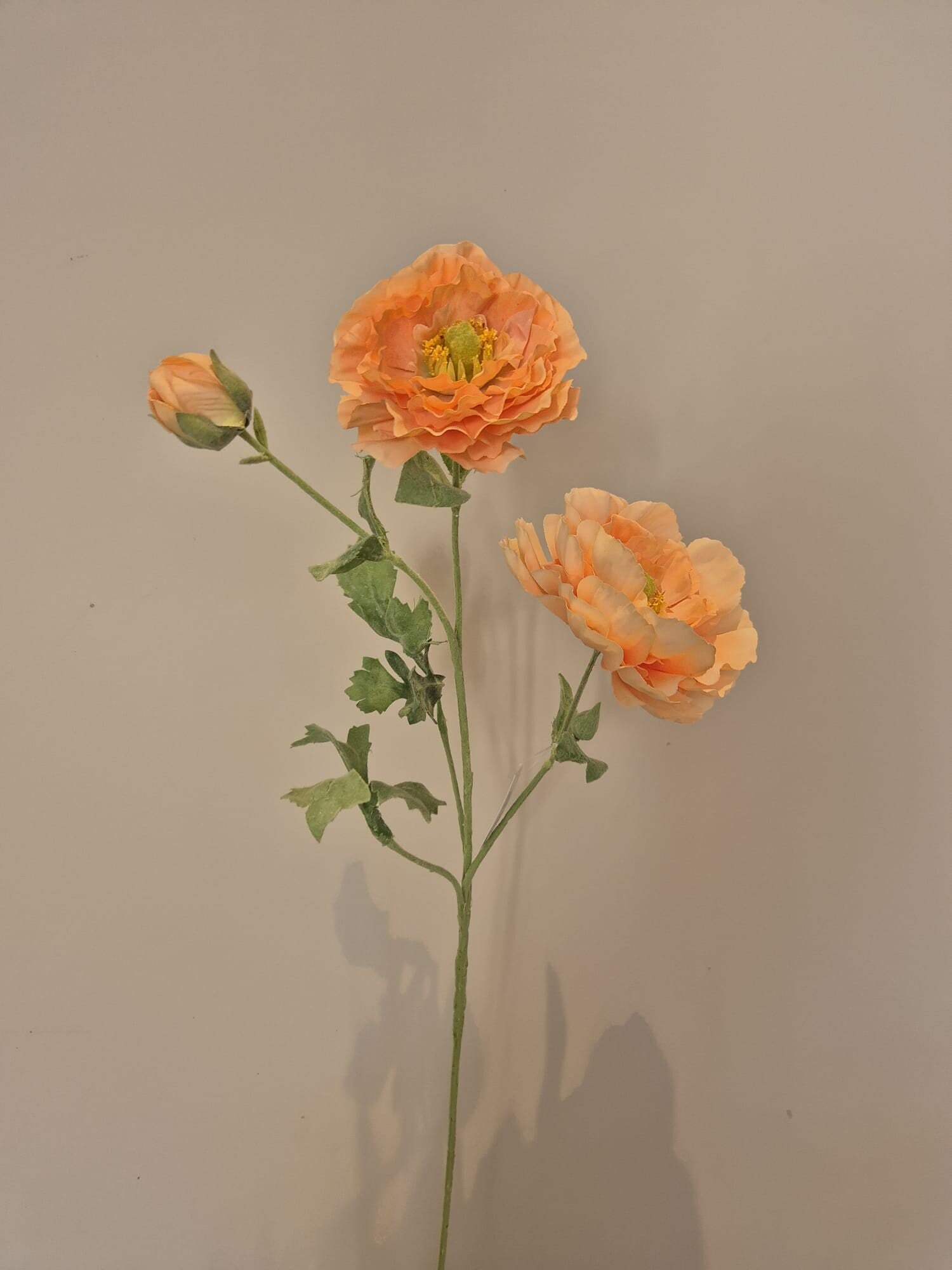 Zijde Bloem Ranonkel Oranje 70cm