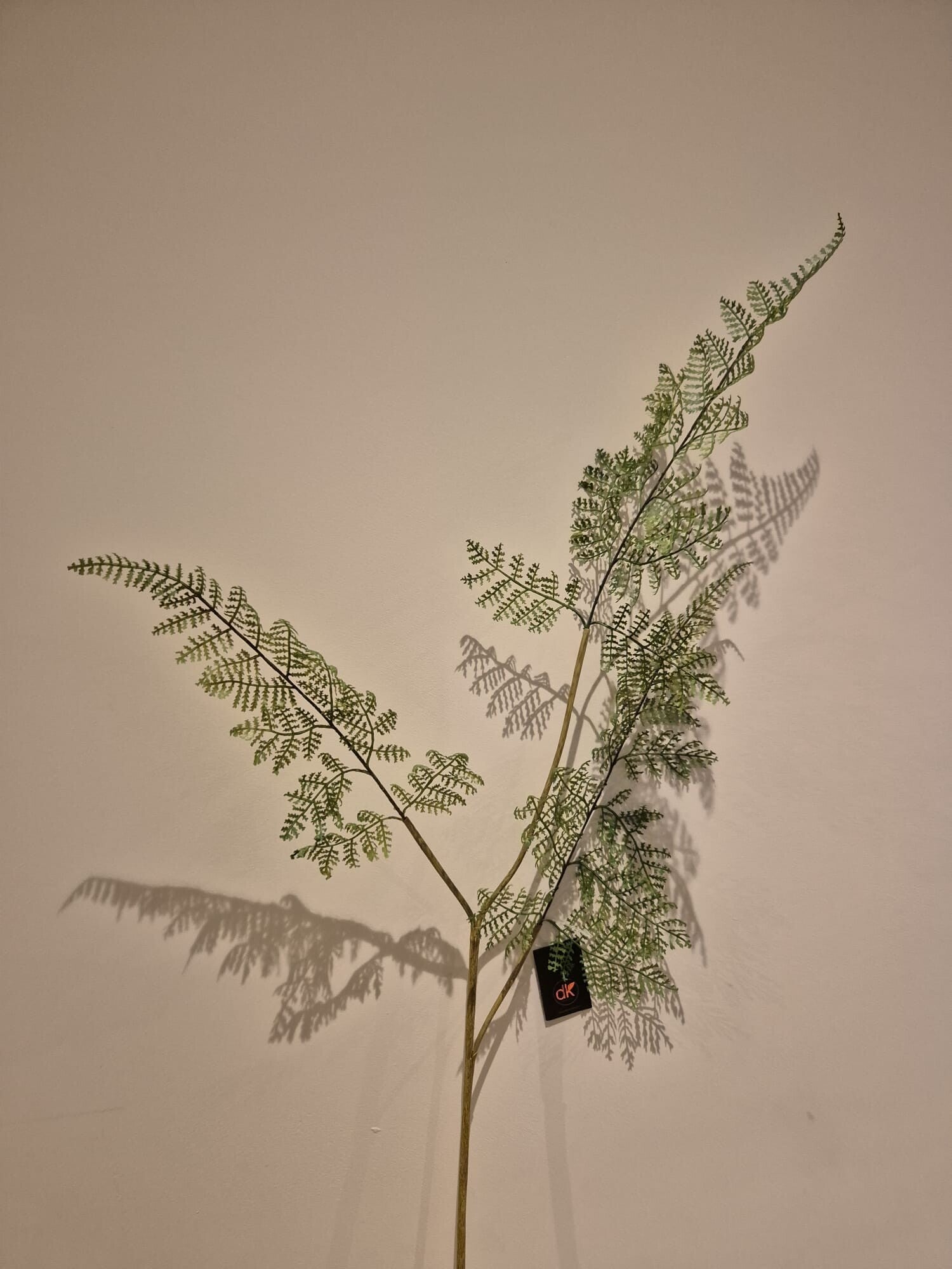 Zijde Bloem Asparagus Groen 83cm