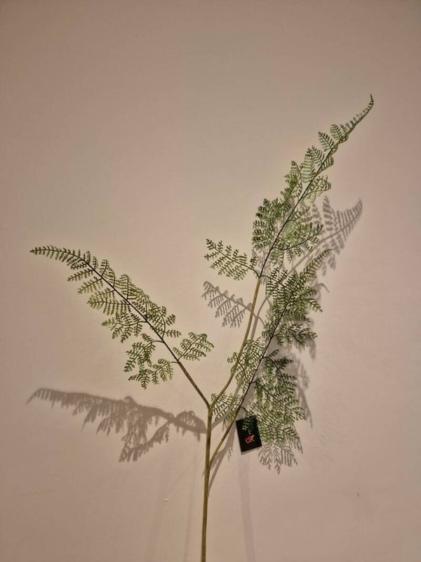 Zijde Bloem Asparagus Groen 83cm