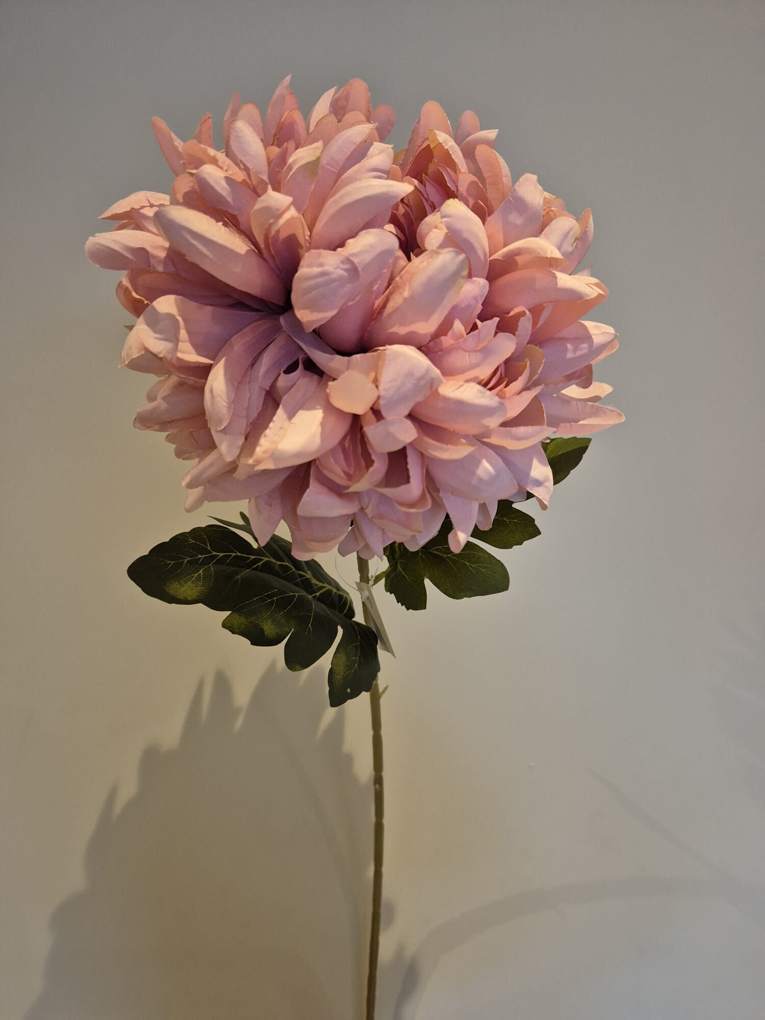 Zijde Bloem Chrysant Roze 75cm