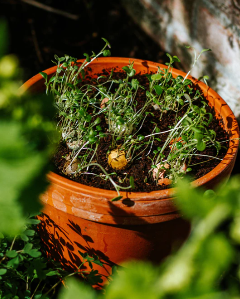 Gift box Mini - 4 Bloembommetjes - Jij kleurt mijn wereld