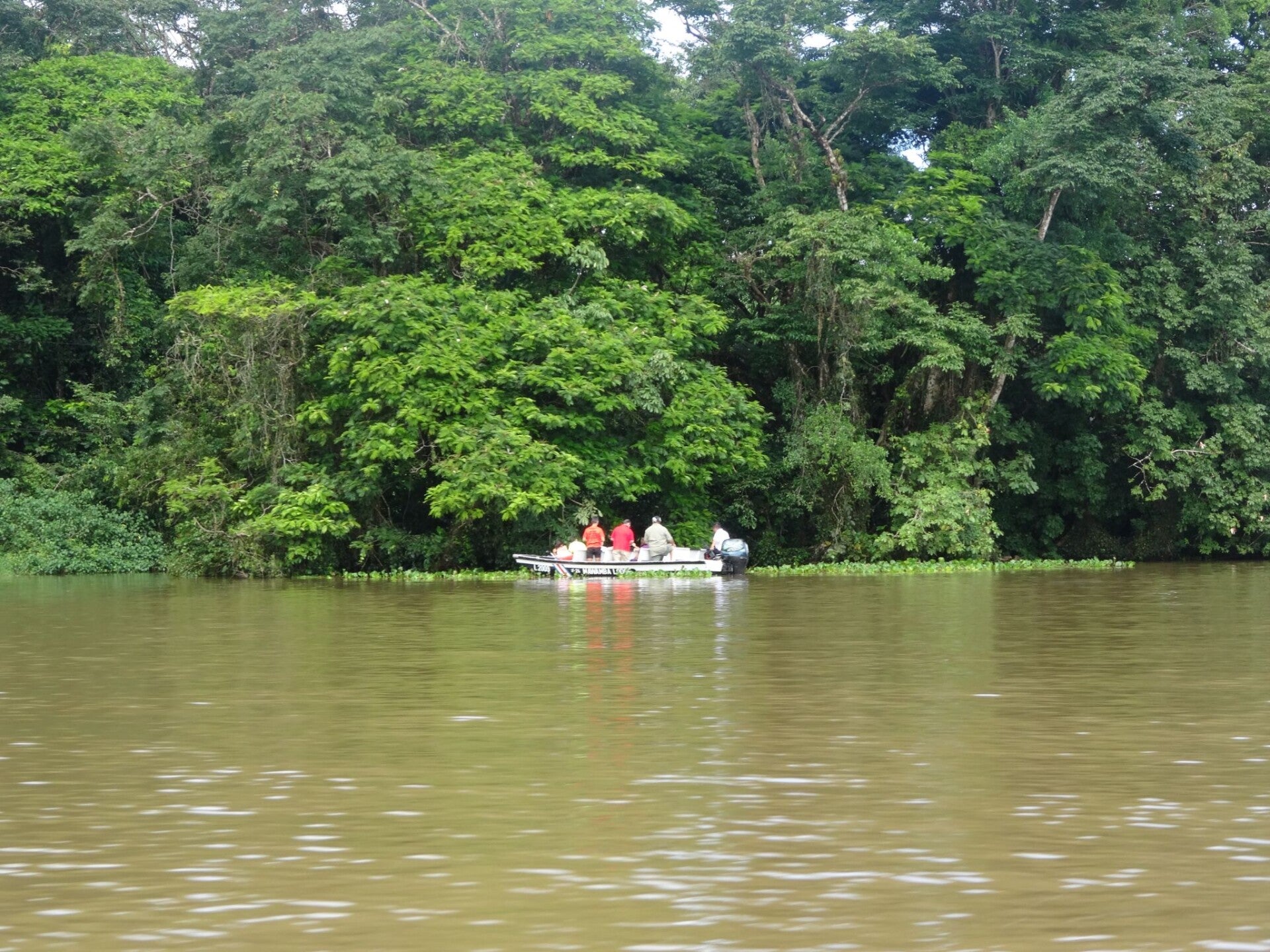 Tortuguero National Park Costa Rica