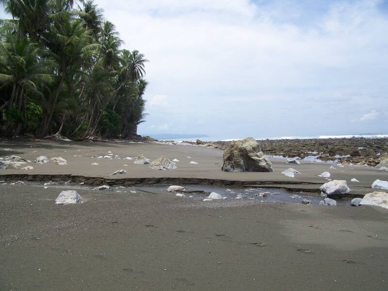 Corcovado National Park Costa Rica