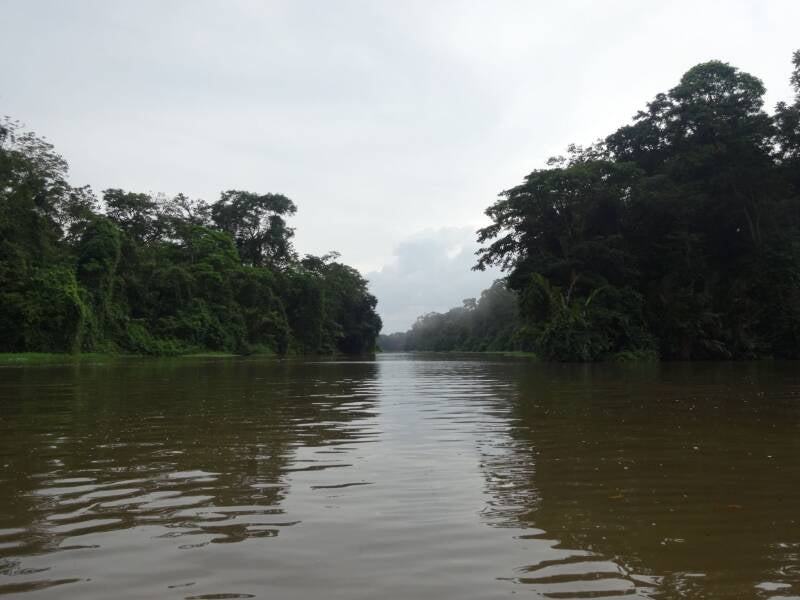Canals Tortuguero National Park Costa Rica