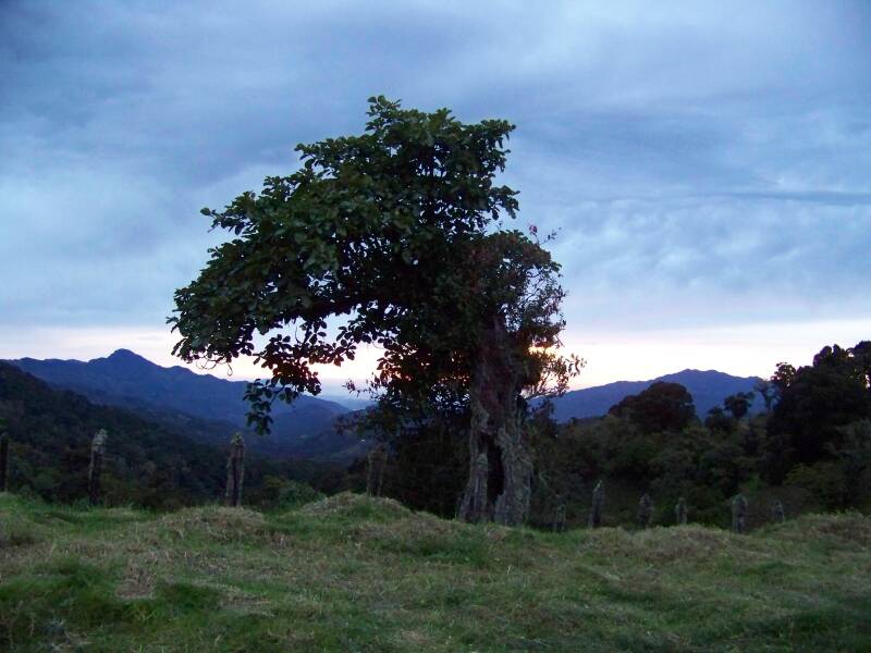 Cerro de la Muerte Costa Rica