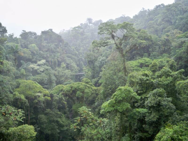 Arenal National Park Costa Rica