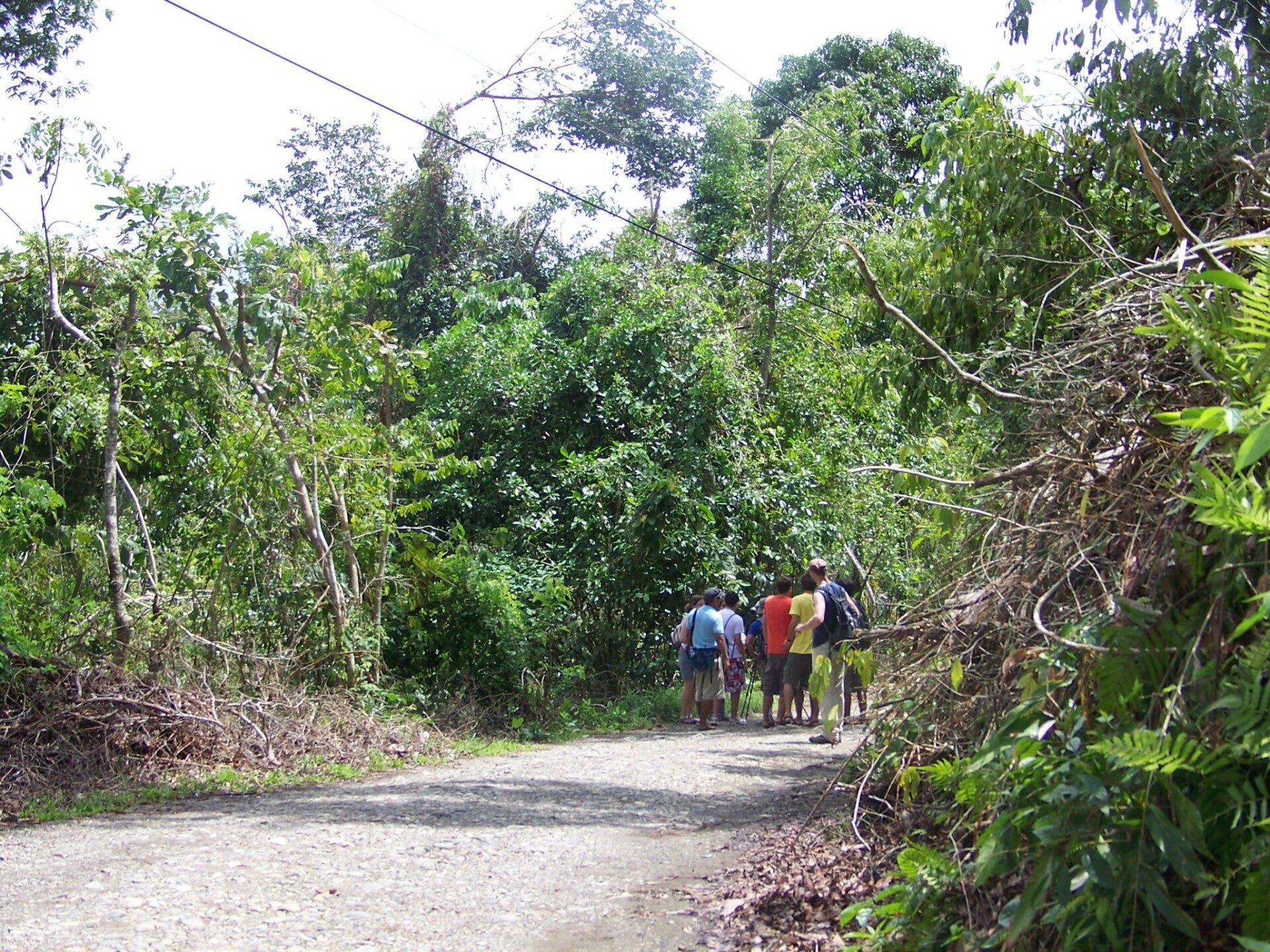 Manuel Antonio National Park Costa Rica