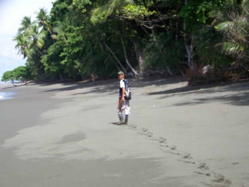The Osa Peninsula Costa Rica