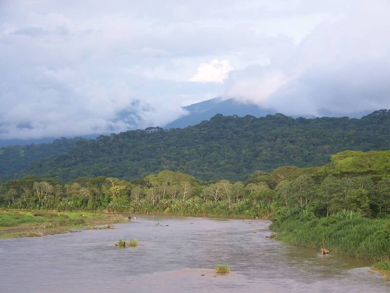 Rio Tarcoles Costa Rica