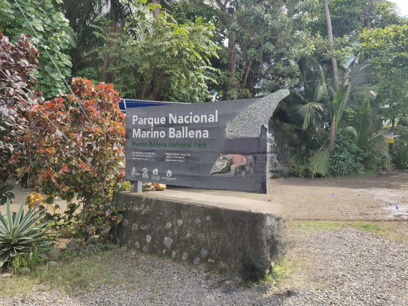 Marino Ballena National Park Costa Rica
