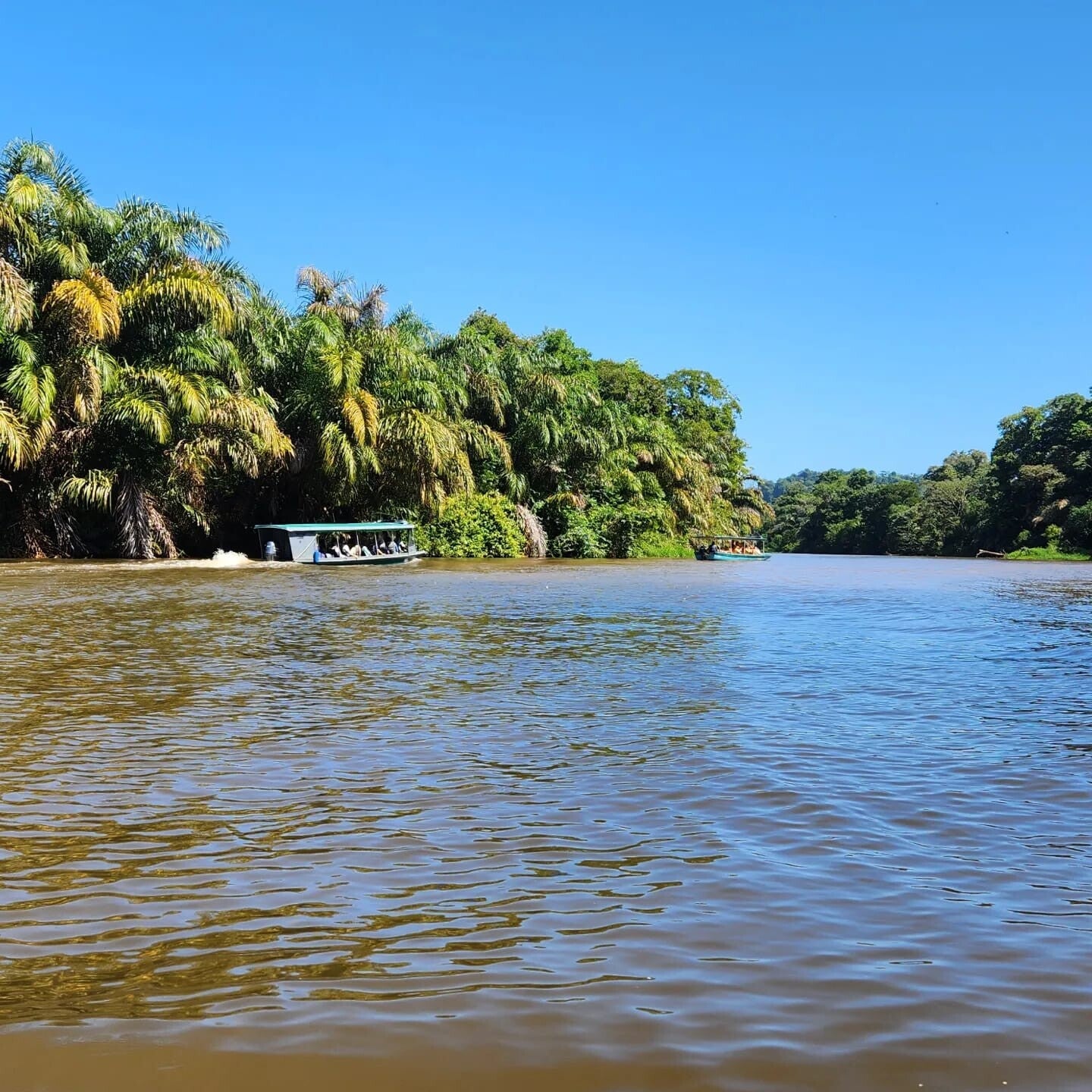 Canals Tortuguero National Park Costa Rica