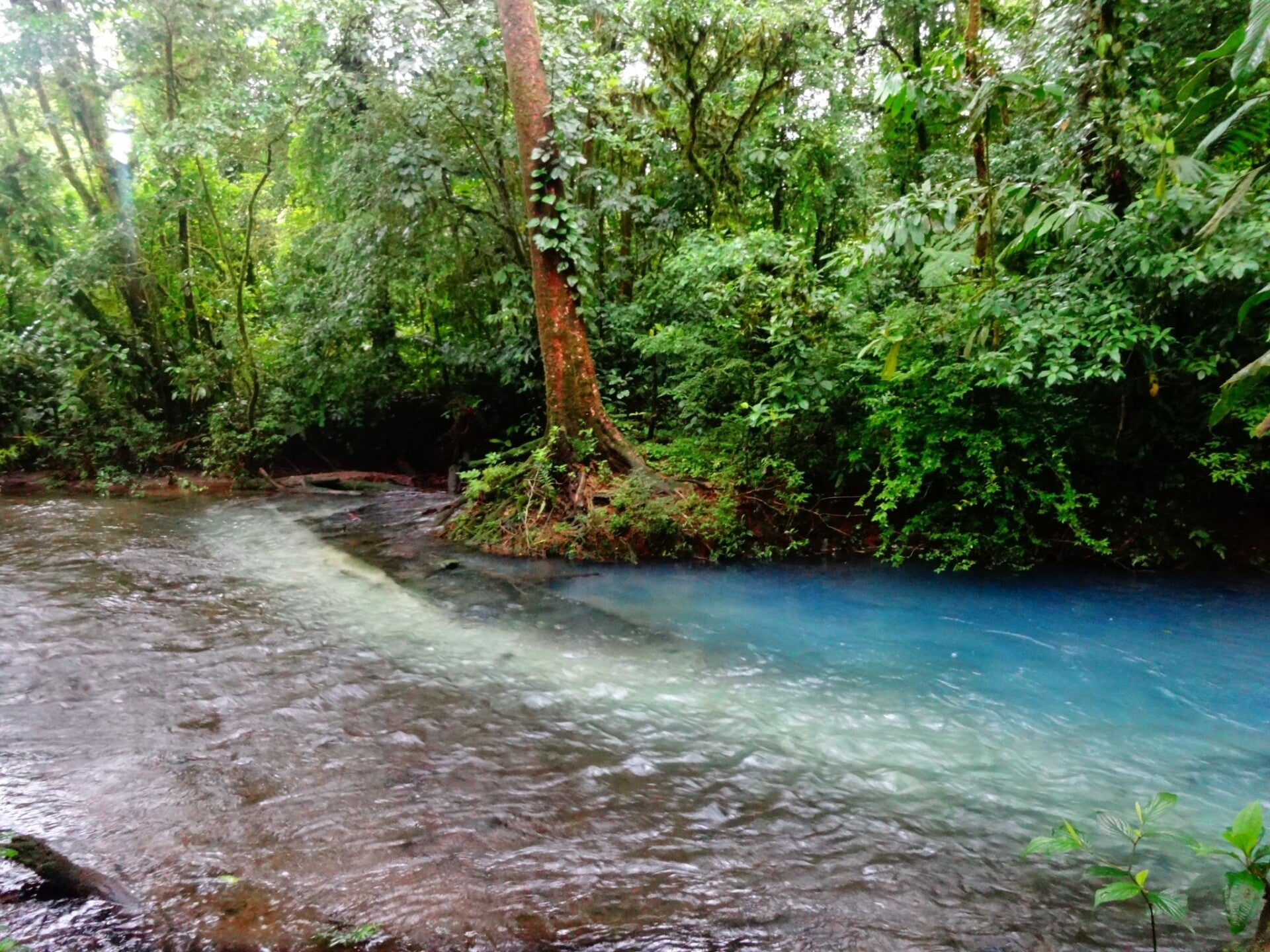 Tenorio Volcano National Park Costa Rica