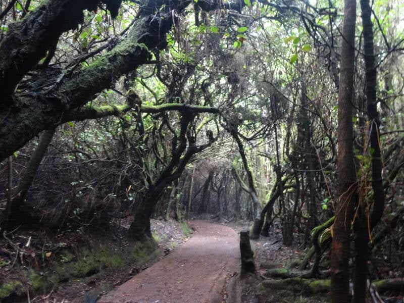 Poas Volcano Costa Rica