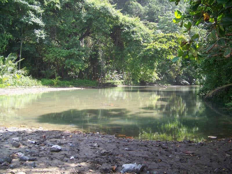 Corcovado National Park Costa Rica