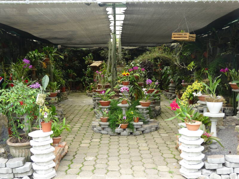 Jardin Botanico Lankester Costa Rica