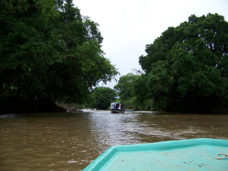 Tortuguero Canals Costa Rica