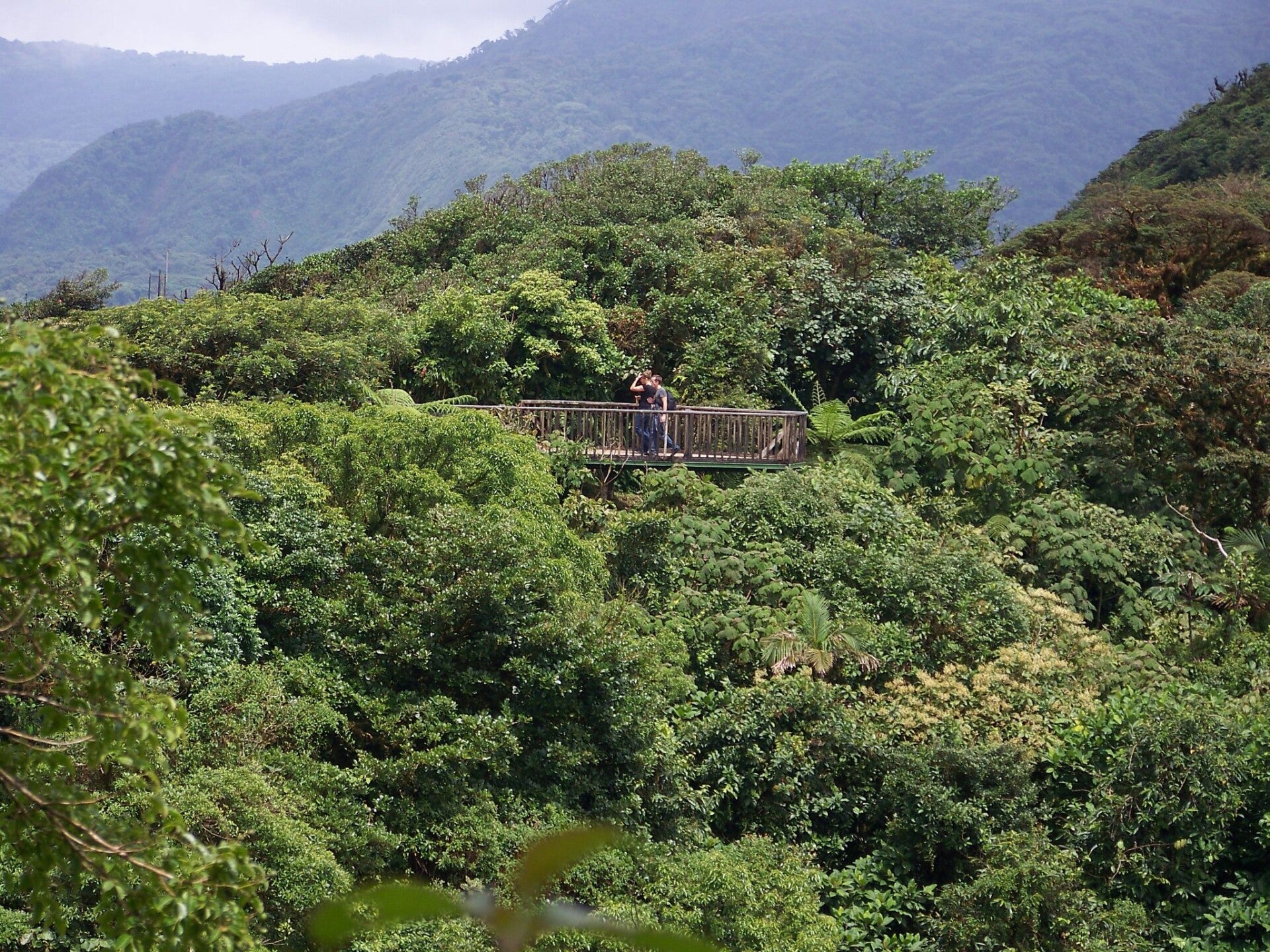 Monteverde Cloud Forest Costa Rica