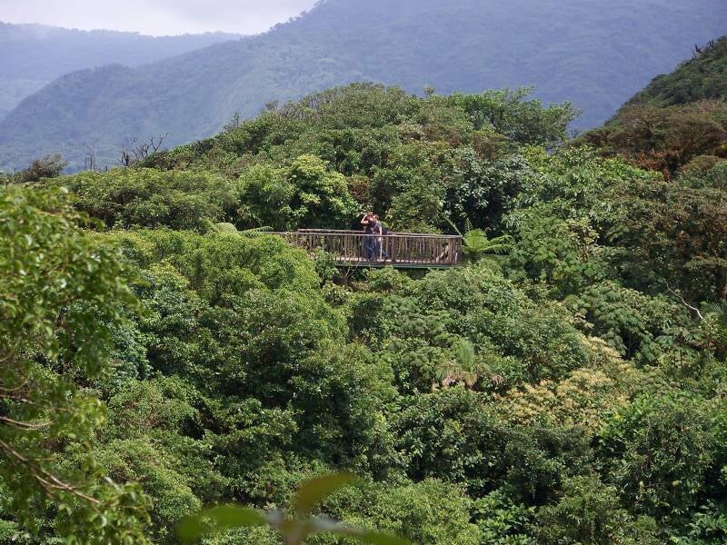 Monteverde Cloud Forest Costa Rica