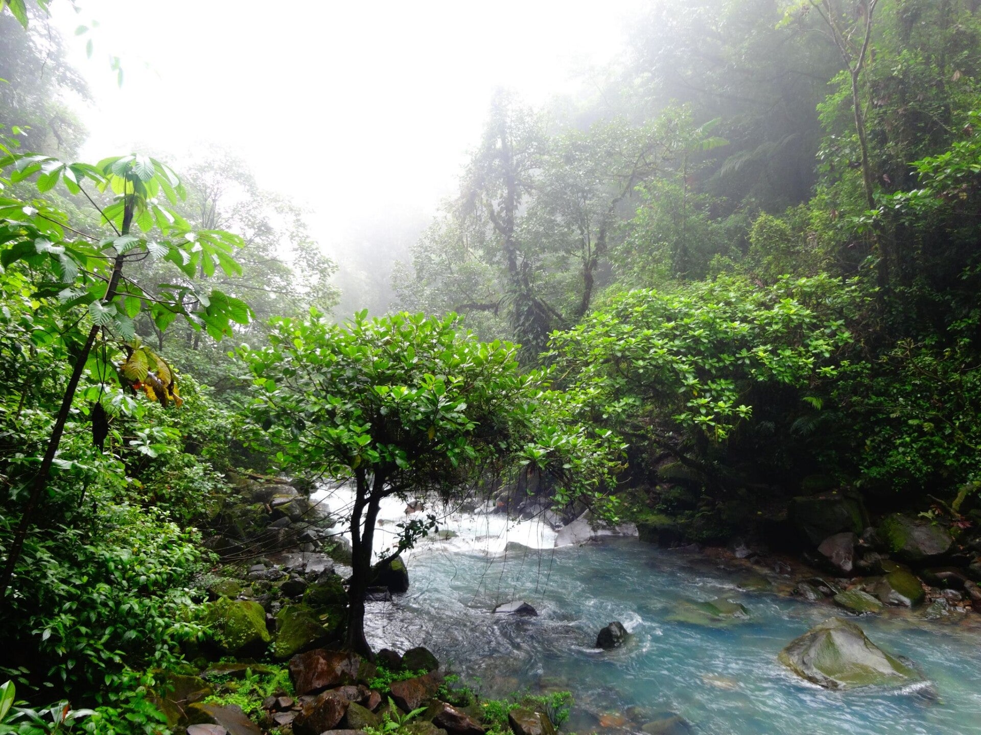 Tenorio Volcano National Park Costa Rica