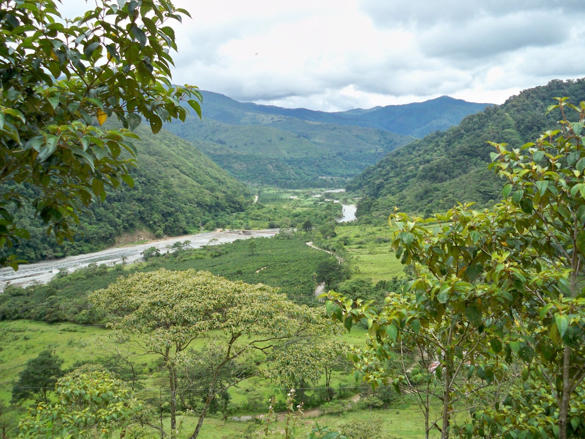 Tapanti National Park Costa Rica