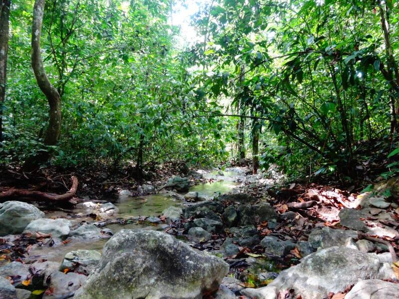 Cabo Blanco Costa Rica