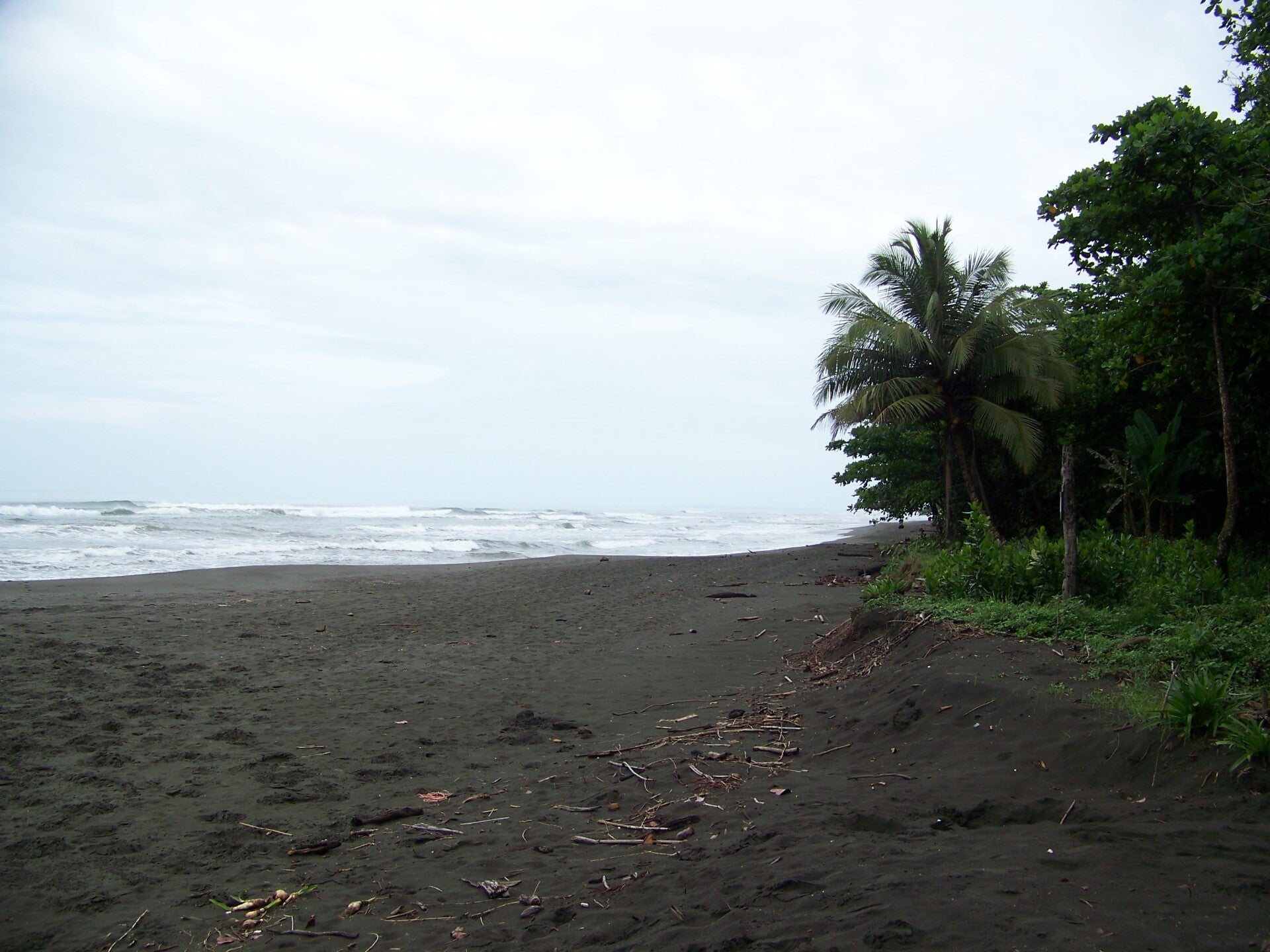 The North Caribbean in Costa Rica