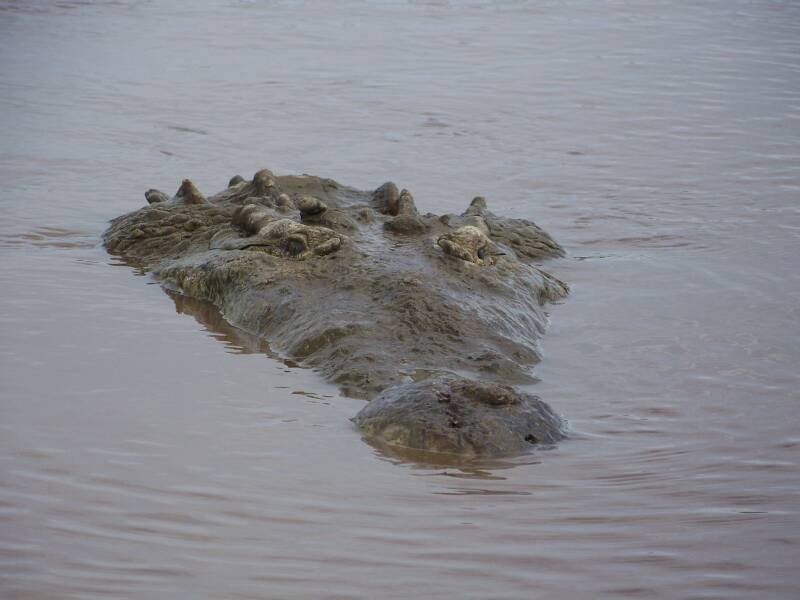 Rio Tarcoles Costa Rica