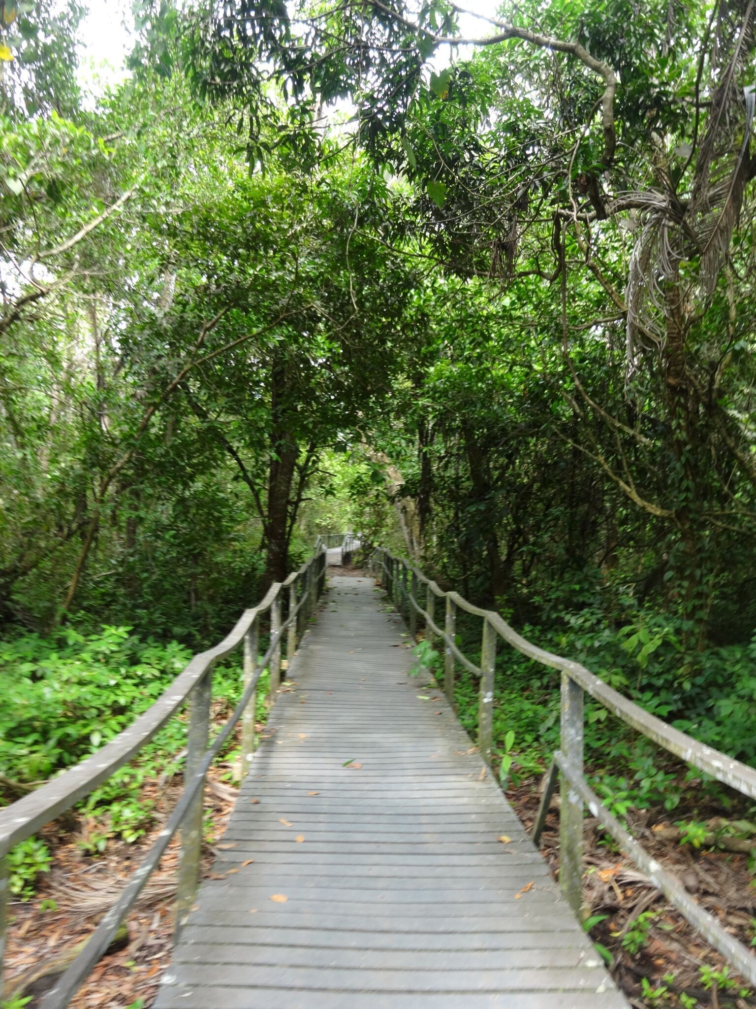 Cahuita National Park Costa Rica