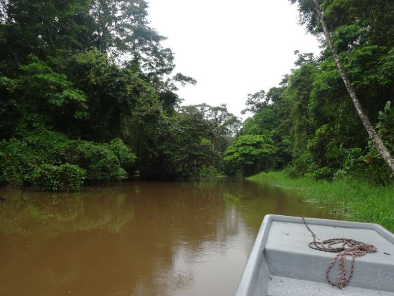 Canals Tortuguero National Park Costa Rica