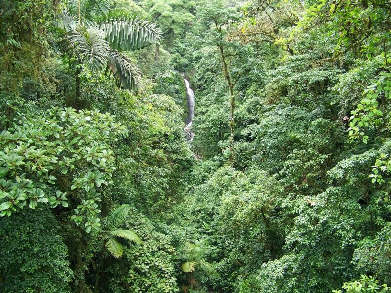 Arenal National Park Costa Rica