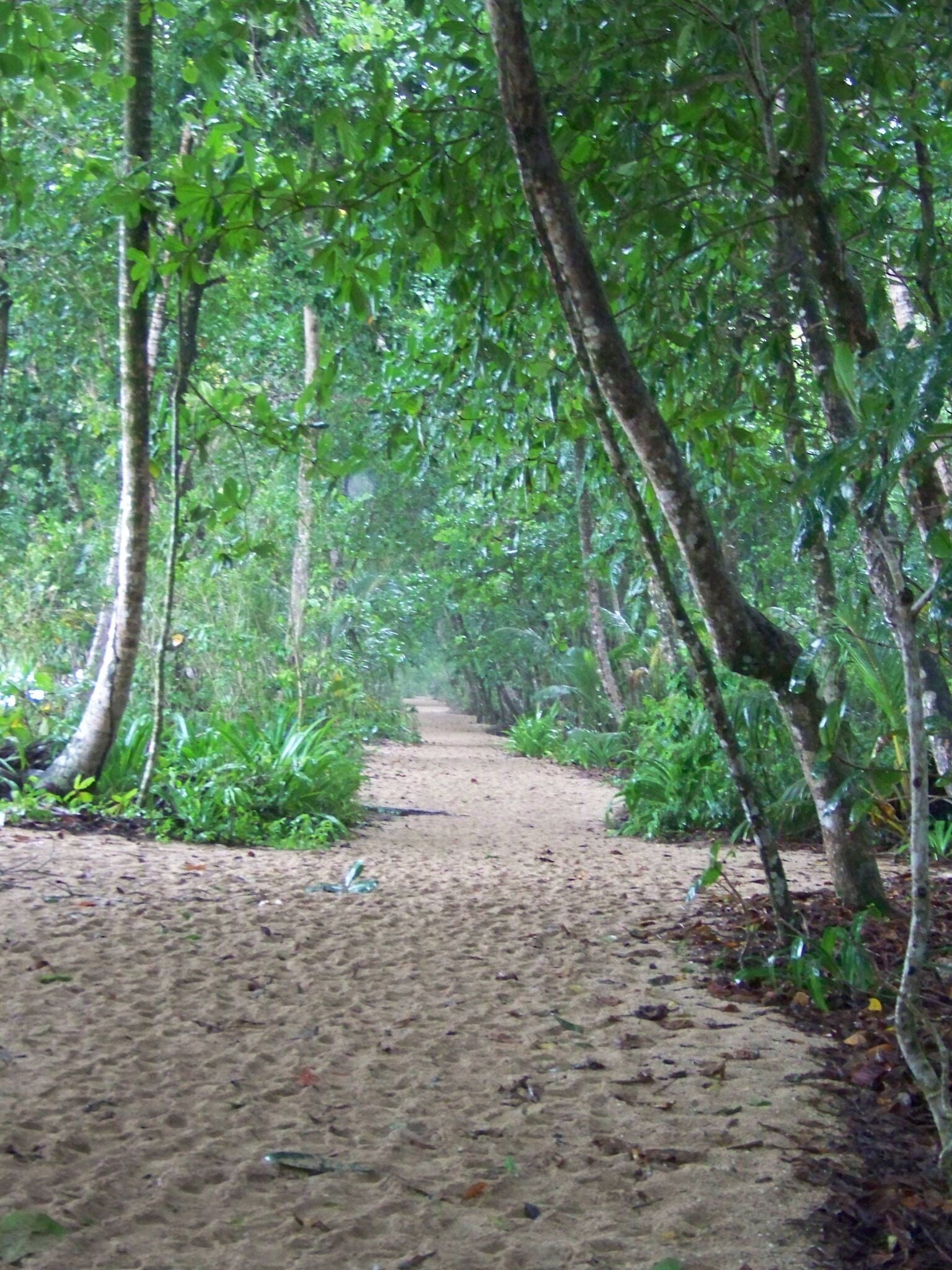 Cahuita National Park Costa Rica