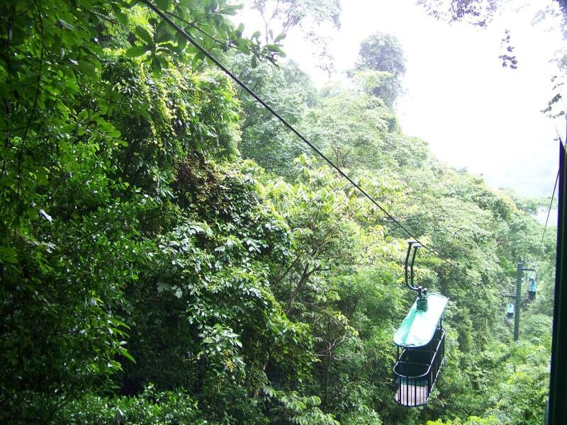 Rainforest Adventures Jaco Costa Rica