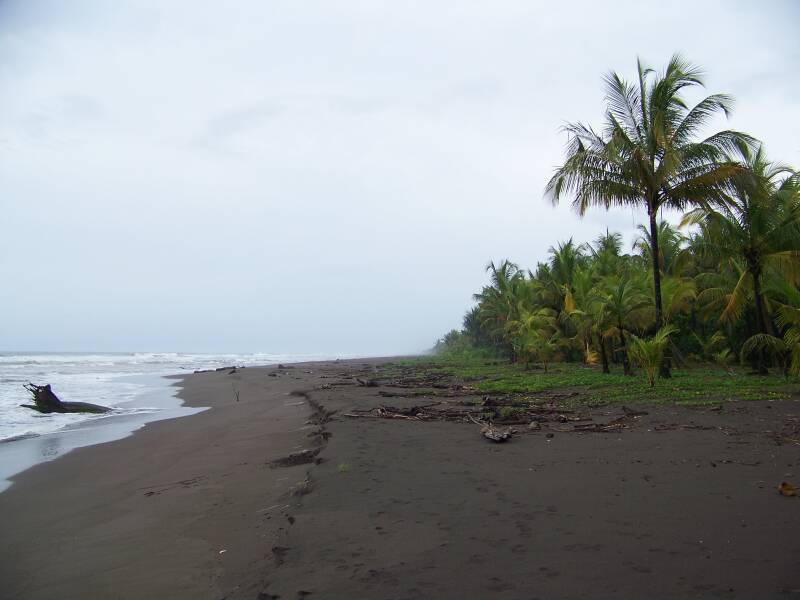 Tortuguero Beach Costa Rica