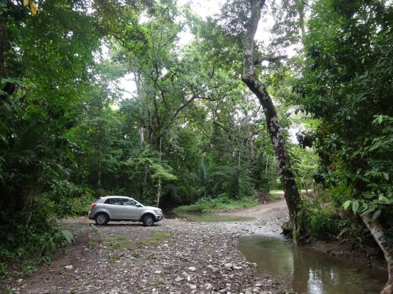 Cabuya Costa Rica