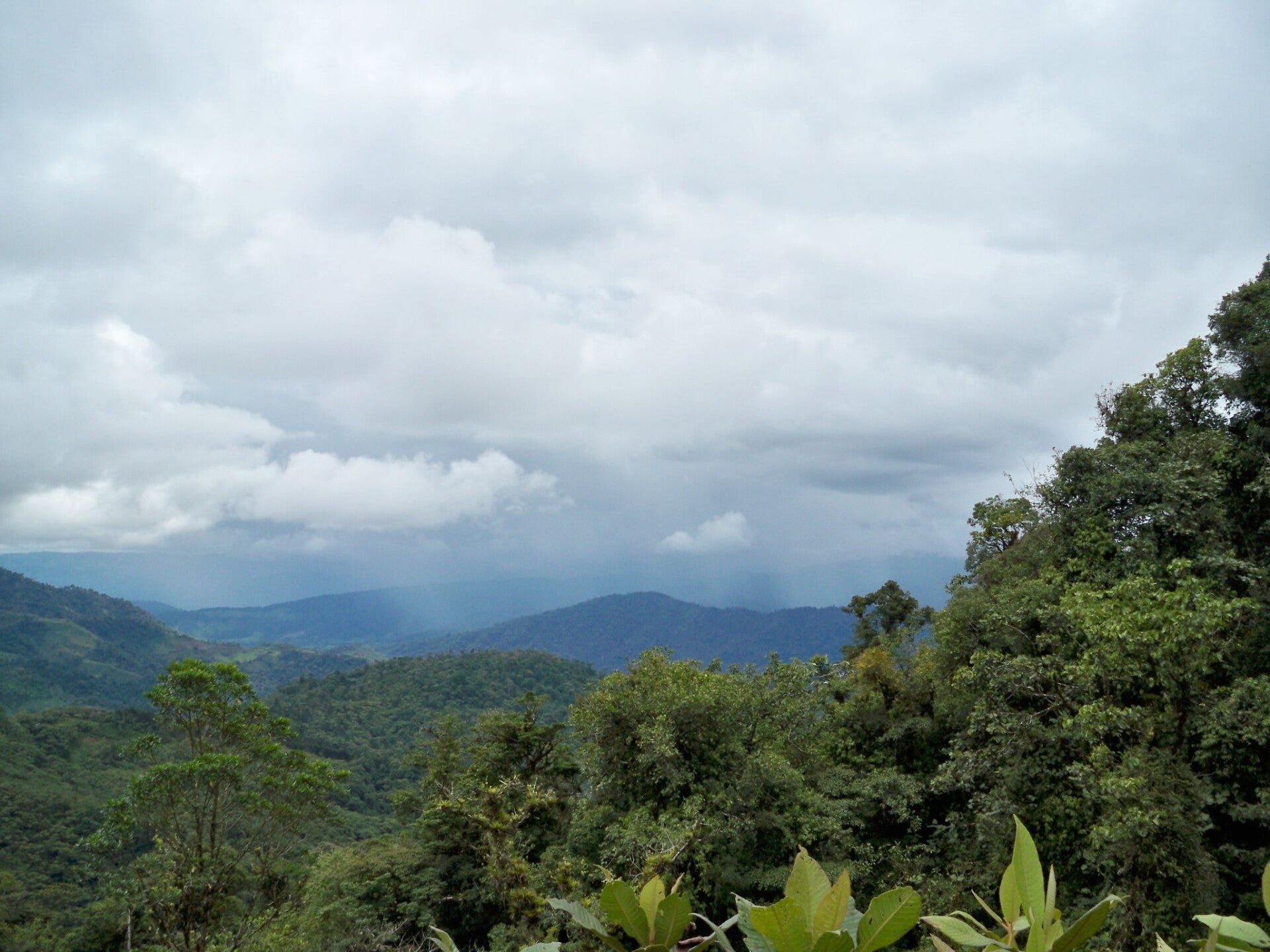 Tapanti National Park Costa Rica